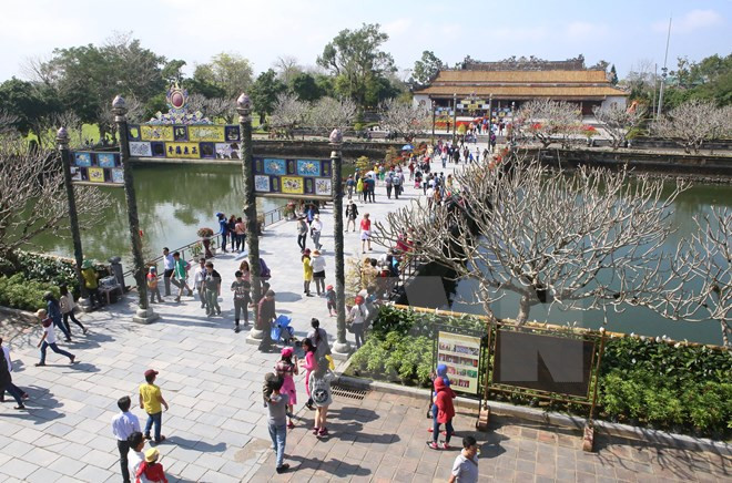 Ofrecerán miles de paquetes turísticos de bajo costo en Vietnam ảnh 1
