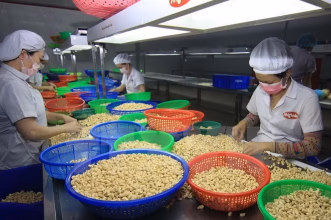 OMC: Impresionante crecimiento del comercio de Vietnam en 2015 ảnh 1