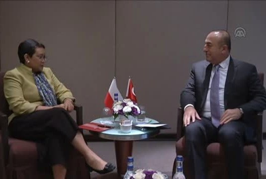 Indonesia y Turquía potencian cooperación económica y lucha antiterrorista ảnh 1 Indonesia y Turquía potencian cooperación económica y lucha antiterrorista ảnh 1