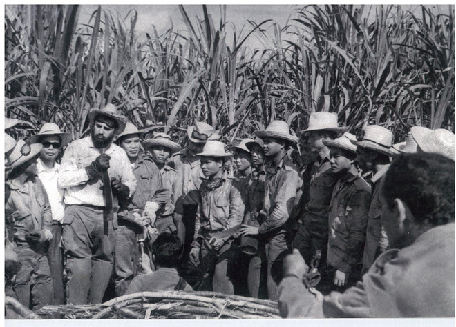 Fidel: un compañero, un hermano de Vietnam ảnh 1 Fidel: un compañero, un hermano de Vietnam ảnh 1