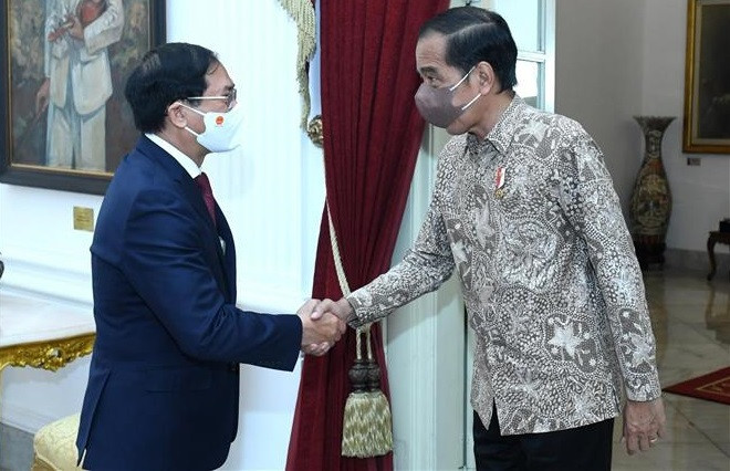 Vietnam otorga importancia a relaciones con Indonesia, afirma canciller ảnh 1 Vietnam otorga importancia a relaciones con Indonesia, afirma canciller ảnh 1