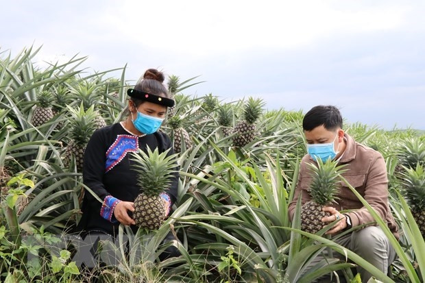 BM financia proyecto de asistencia legal a grupos vulnerables en Vietnam ảnh 1 BM financia proyecto de asistencia legal a grupos vulnerables en Vietnam ảnh 1