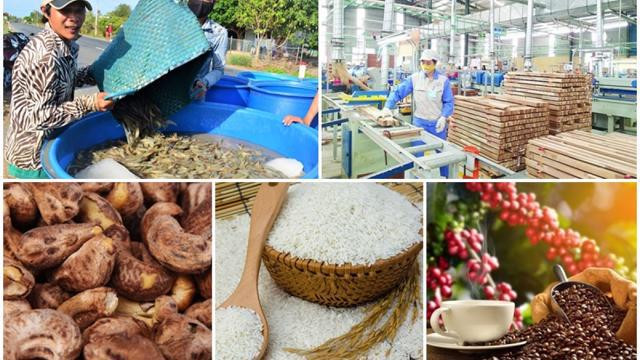 Experimenta Vietnam señales alentadores de exportaciones en siete meses ảnh 1 Experimenta Vietnam señales alentadores de exportaciones en siete meses ảnh 1