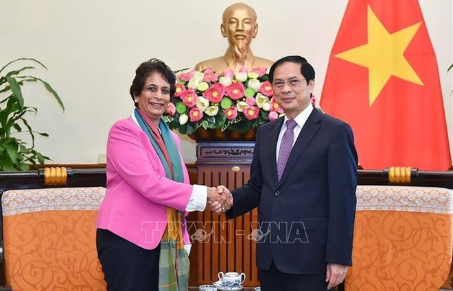 Canciller vietnamita recibe a la directora regional del PNUD para Asia-Pacífico ảnh 1 Canciller vietnamita recibe a la directora regional del PNUD para Asia-Pacífico ảnh 1