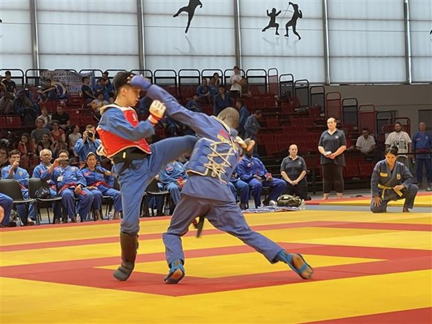 Vietnam gana tres medallas de oro en VI Campeonato Mundial de Vovinam ảnh 1