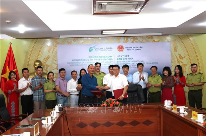 Trabajan por conservación sostenible de los primates endémicos de Vietnam ảnh 2 Trabajan por conservación sostenible de los primates endémicos de Vietnam ảnh 2