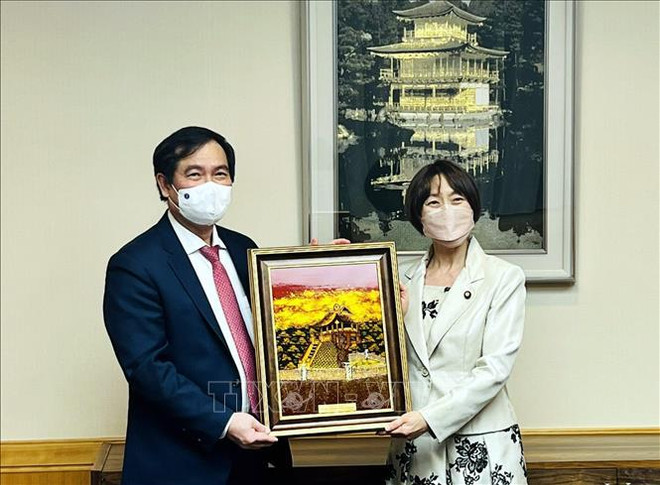 Refuerzan Vietnam y Japón cooperación en labores de propaganda y comunicación ảnh 1 Refuerzan Vietnam y Japón cooperación en labores de propaganda y comunicación ảnh 1