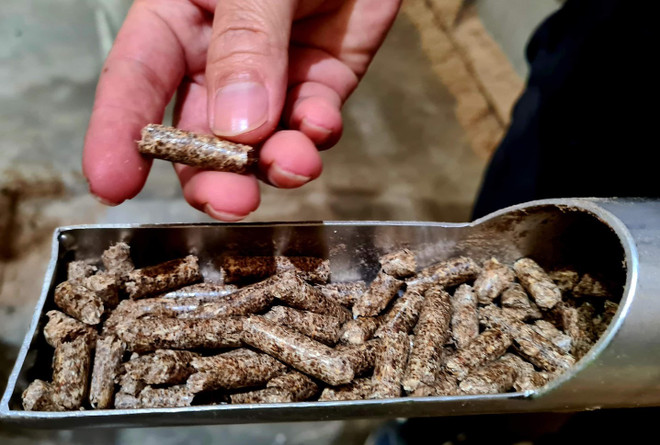 Industria maderera de Vietnam aspira a exportar 16,5 mil millones de dólares ảnh 1 Industria maderera de Vietnam aspira a exportar 16,5 mil millones de dólares ảnh 1