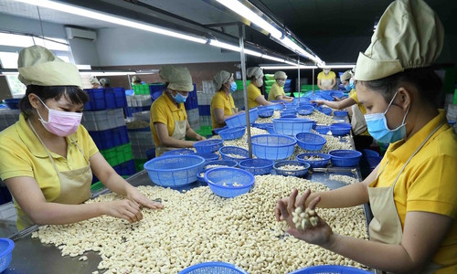 Vietnam alcanza superávit comercial con Camboya ảnh 1
