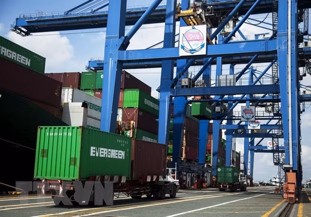 Empresas vietnamitas aprovechan eficazmente EVFTA ảnh 1