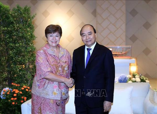 Presidente se reúne con líderes de Hong Kong y FMI al margen de 29 Reunión de APEC ảnh 2 Presidente se reúne con líderes de Hong Kong y FMI al margen de 29 Reunión de APEC ảnh 2