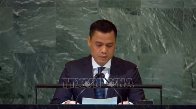 Vietnam pide reforma del Consejo de Seguridad de ONU ảnh 1