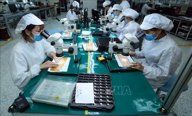 Buscan aprovechar ventajas de tratado comercial Vietnam-UE ảnh 1 Buscan aprovechar ventajas de tratado comercial Vietnam-UE ảnh 1