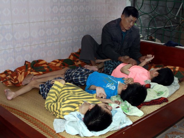 Mejoran investigación para superar secuelas de dioxina en Vietnam ảnh 1 Mejoran investigación para superar secuelas de dioxina en Vietnam ảnh 1