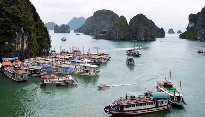 Llegadas de turistas rusos a Vietnam crecen 60 por ciento en octubre ảnh 1
