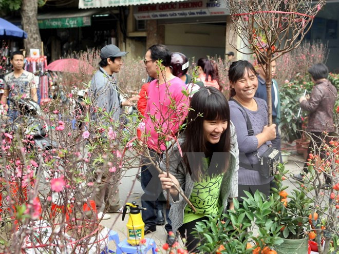 Los mercados de flores en Hanoi ảnh 1