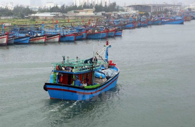 Entidades vietnamitas se encargan de toda la transportación doméstica por vía marítima ảnh 1