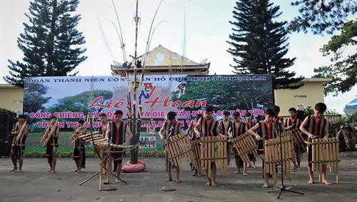 Festival honra valores de cultura gong en Tay Nguyen ảnh 1