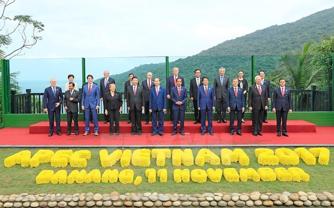 Éxito de la Semana de alto nivel del APEC elevará imagen de Vietnam, comenta especialista rusa ảnh 1 Éxito de la Semana de alto nivel del APEC elevará imagen de Vietnam, comenta especialista rusa ảnh 1