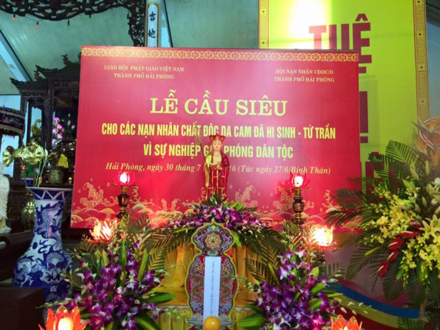 Réquiem en homenaje a víctimas de agente naranja en Hai Phong ảnh 1 Réquiem en homenaje a víctimas de agente naranja en Hai Phong ảnh 1