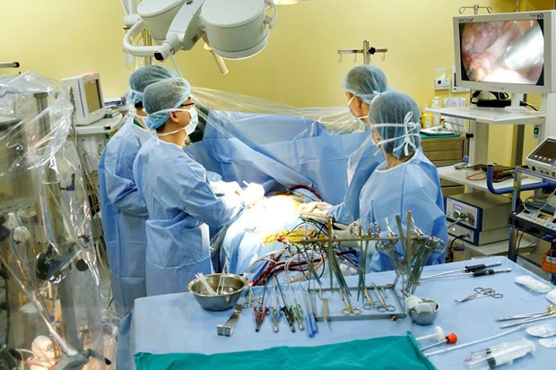 Sector de salud de Vietnam: mercado atractivo para inversores nacionales y extranjeros ảnh 1 Sector de salud de Vietnam: mercado atractivo para inversores nacionales y extranjeros ảnh 1