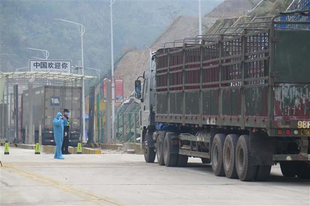 Vietnam y China restauran parte de sus actividades comerciales transfronterizas ảnh 1 Vietnam y China restauran parte de sus actividades comerciales transfronterizas ảnh 1