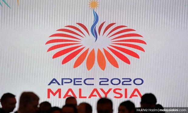 APEC debatirá medidas para hacer frente a COVID-19 ảnh 1 APEC debatirá medidas para hacer frente a COVID-19 ảnh 1