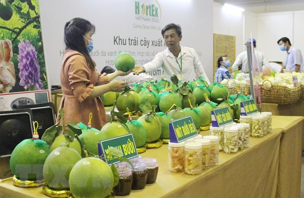 Acoge Vietnam exposición internacional sobre tecnología de producción y procesamiento hortofrutícola ảnh 1 Acoge Vietnam exposición internacional sobre tecnología de producción y procesamiento hortofrutícola ảnh 1