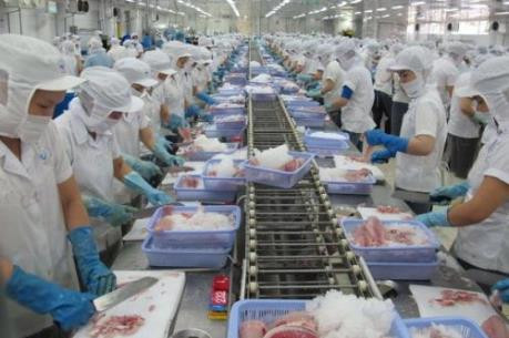 Sector agrícola vietnamita trabaja para luchar contra la pesca ilegal ảnh 1