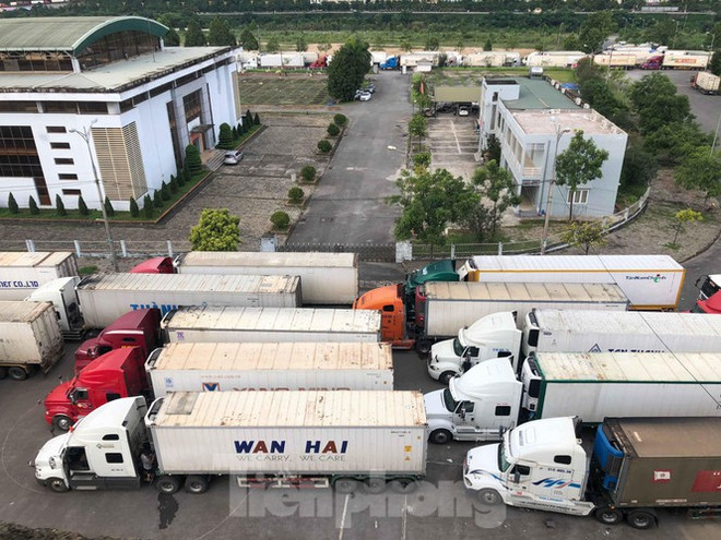 Urgen a apoyar a empresas vietnamitas frente a obstáculos causados por COVID-19 ảnh 1