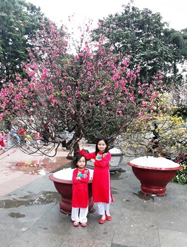 Ao dai: vietnamitas siguen la moda pero mantienen las raíces ảnh 8 Ao dai: vietnamitas siguen la moda pero mantienen las raíces ảnh 8