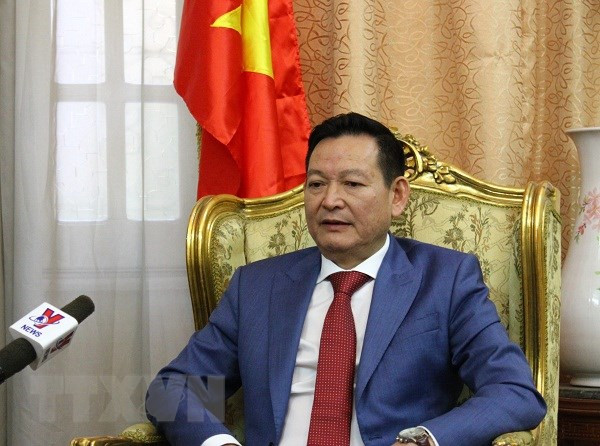 Vietnam adopta medidas para ayudar a sus víctimas del atentado en Egipto ảnh 1 Vietnam adopta medidas para ayudar a sus víctimas del atentado en Egipto ảnh 1