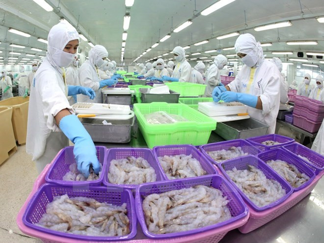 Vietnam determina ingresar 10 mil millones de dólares por exportaciones acuícolas ảnh 1 Vietnam determina ingresar 10 mil millones de dólares por exportaciones acuícolas ảnh 1