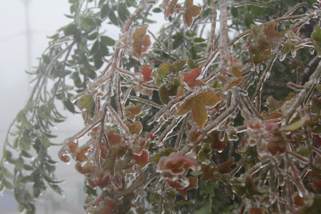 Vietnam registra días más fríos del invierno en el Norte e inundaciones en el Centro ảnh 1 Vietnam registra días más fríos del invierno en el Norte e inundaciones en el Centro ảnh 1