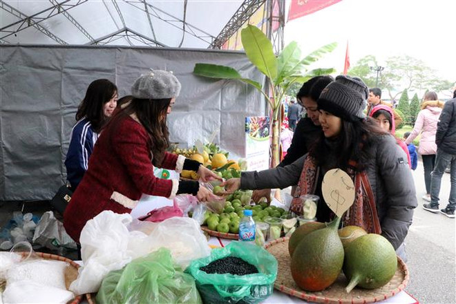 Inauguran festival cultural y turístico en provincia vietnamita de Hai Duong en saludo al Nuevo Año 2019 ảnh 1