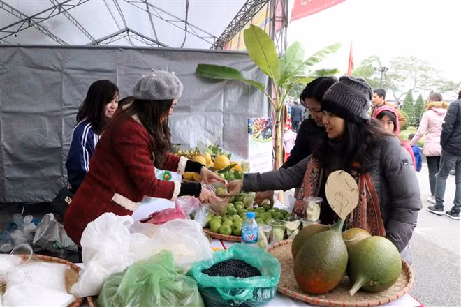 Inauguran festival cultural y turístico en provincia vietnamita de Hai Duong en saludo al Nuevo Año 2019 ảnh 1