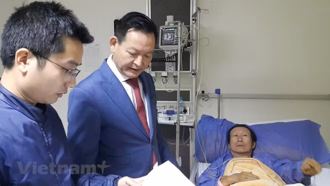 Ataque con bomba en Egipto: ocho vietnamitas podrían repatriar ảnh 1