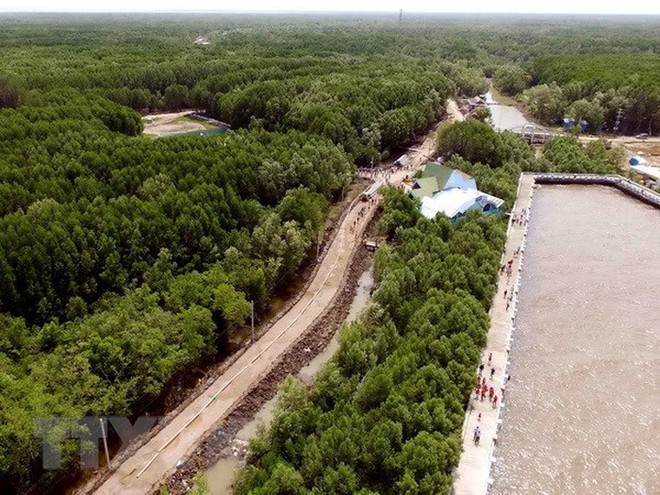 Sitio turístico de Cabo Ca Mau se convertirá en área económica clave en 2025 ảnh 1 Sitio turístico de Cabo Ca Mau se convertirá en área económica clave en 2025 ảnh 1