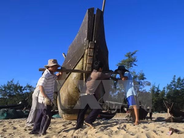  Provincia vietnamita completará compensación por incidente ambiental ảnh 1