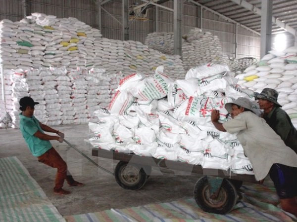 Vietnam exporta 2,56 millones de toneladas de arroz en seis meses ảnh 1 Vietnam exporta 2,56 millones de toneladas de arroz en seis meses ảnh 1