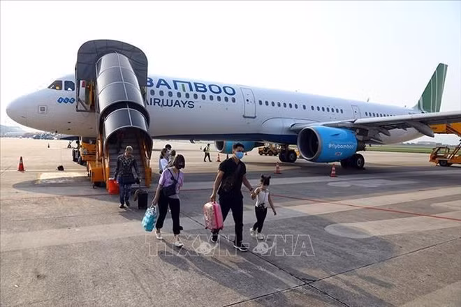 Recuperación del turismo podría ayudar a impulsar facturación de aerolíneas ảnh 2