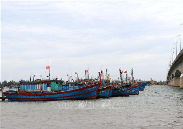Provincia vietnamita fomenta gestión de barcos pesqueros ảnh 1