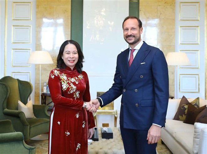 Vicepresidenta vietnamita se reúne con dirigentes noruegos ảnh 1 Vicepresidenta vietnamita se reúne con dirigentes noruegos ảnh 1