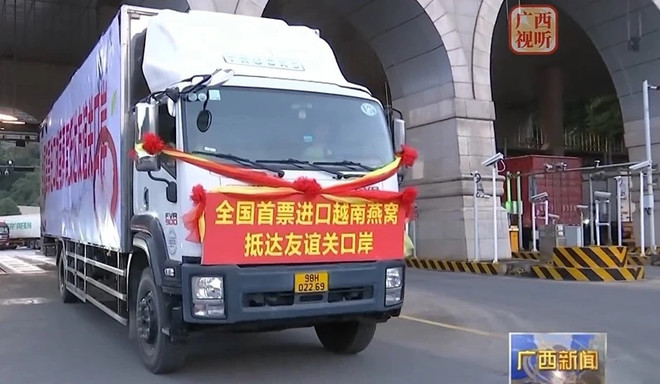 Productos de nidos de golondrina de Vietnam entran en China ảnh 1 Productos de nidos de golondrina de Vietnam entran en China ảnh 1