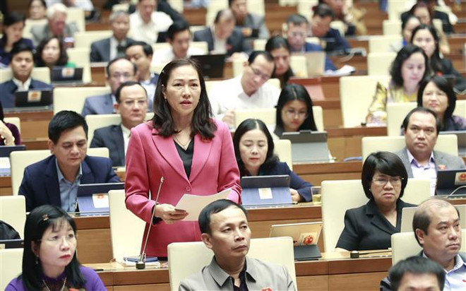 Asamblea Nacional debate resultados de resolución de sugerencias de votantes ảnh 2 Asamblea Nacional debate resultados de resolución de sugerencias de votantes ảnh 2