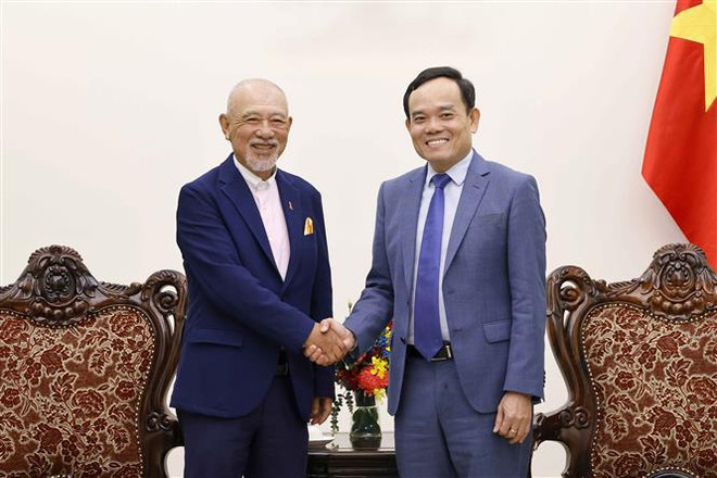Vietnam y Japón diversifican actividades de cooperación y apoyo mutuo  ảnh 1 Vietnam y Japón diversifican actividades de cooperación y apoyo mutuo  ảnh 1