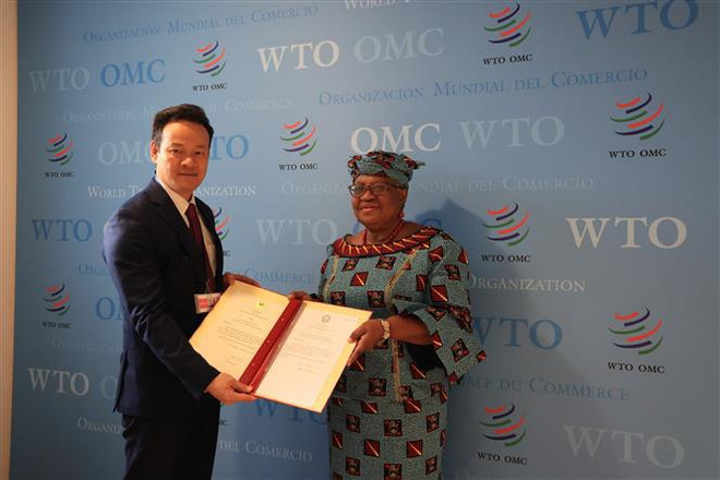 OMC reconoce contribuciones de Vietnam al sistema multilateral de comercio ảnh 1 OMC reconoce contribuciones de Vietnam al sistema multilateral de comercio ảnh 1