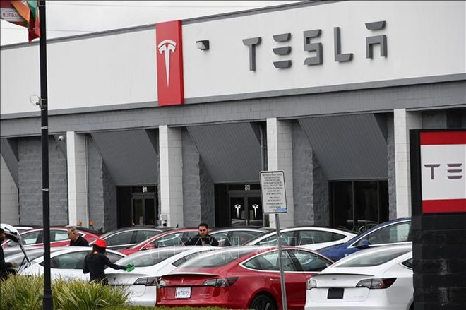 Sudeste Asiático se convierte en la prioridad de expansión de Tesla ảnh 1