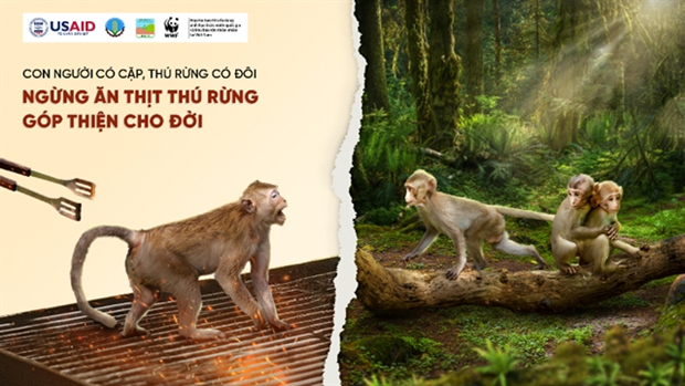 Piden a reducir la demanda de carne de animales salvajes ảnh 1 Piden a reducir la demanda de carne de animales salvajes ảnh 1