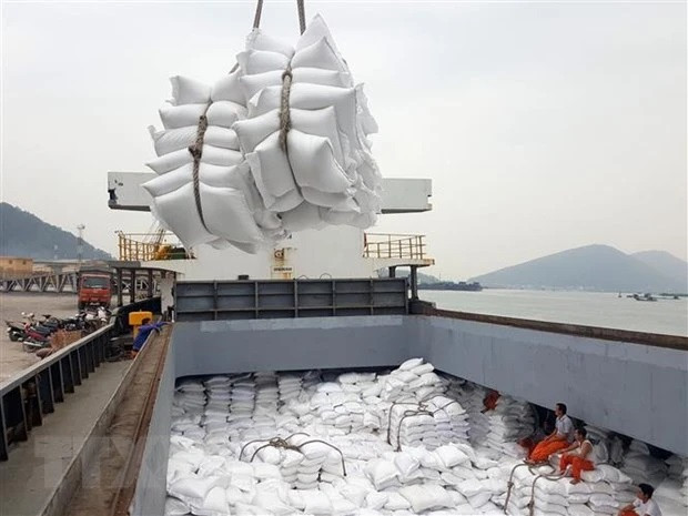 Vietnam dispone de gran espacio para exportar arroz a Senegal ảnh 1 Vietnam dispone de gran espacio para exportar arroz a Senegal ảnh 1